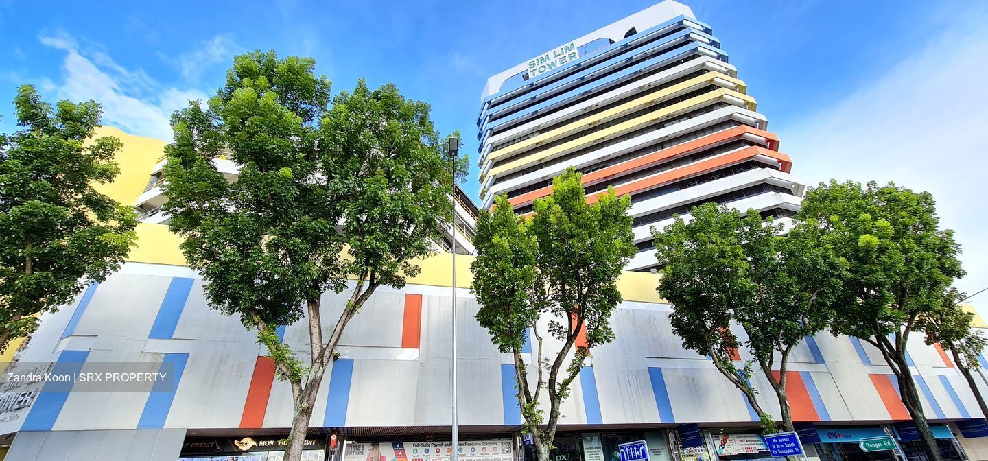 Sim Lim Tower (D8), Office #456115201